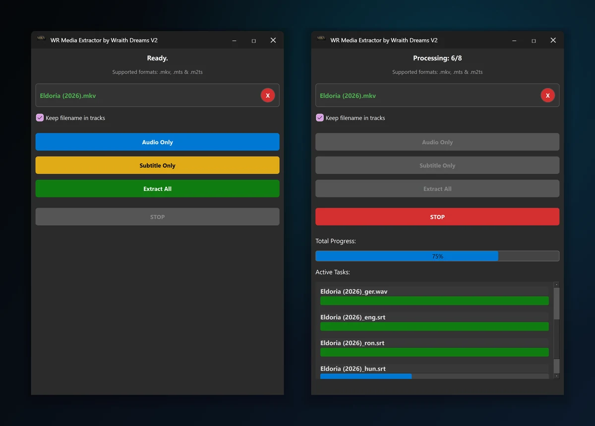 WR Media Extractor by Wraith Dreams V2 – application window